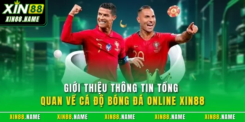 Giới thiệu thông tin tổng quan về cá độ bóng đá online XIN88