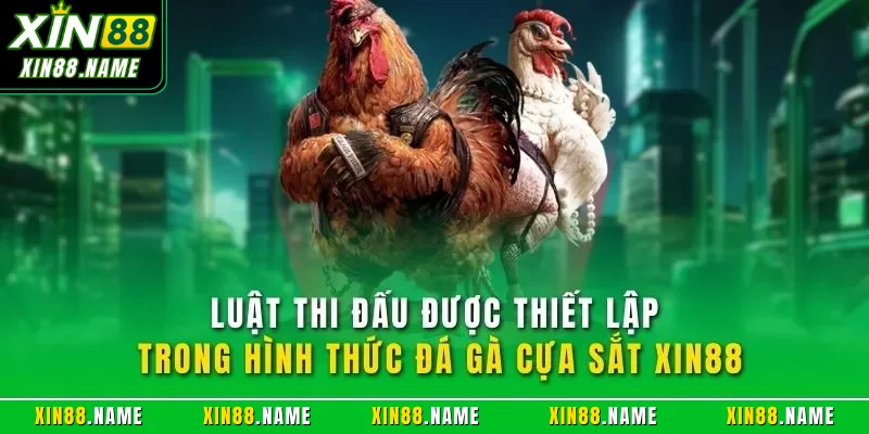 Luật thi đấu được thiết lập trong hình thức đá gà cựa sắt XIN88